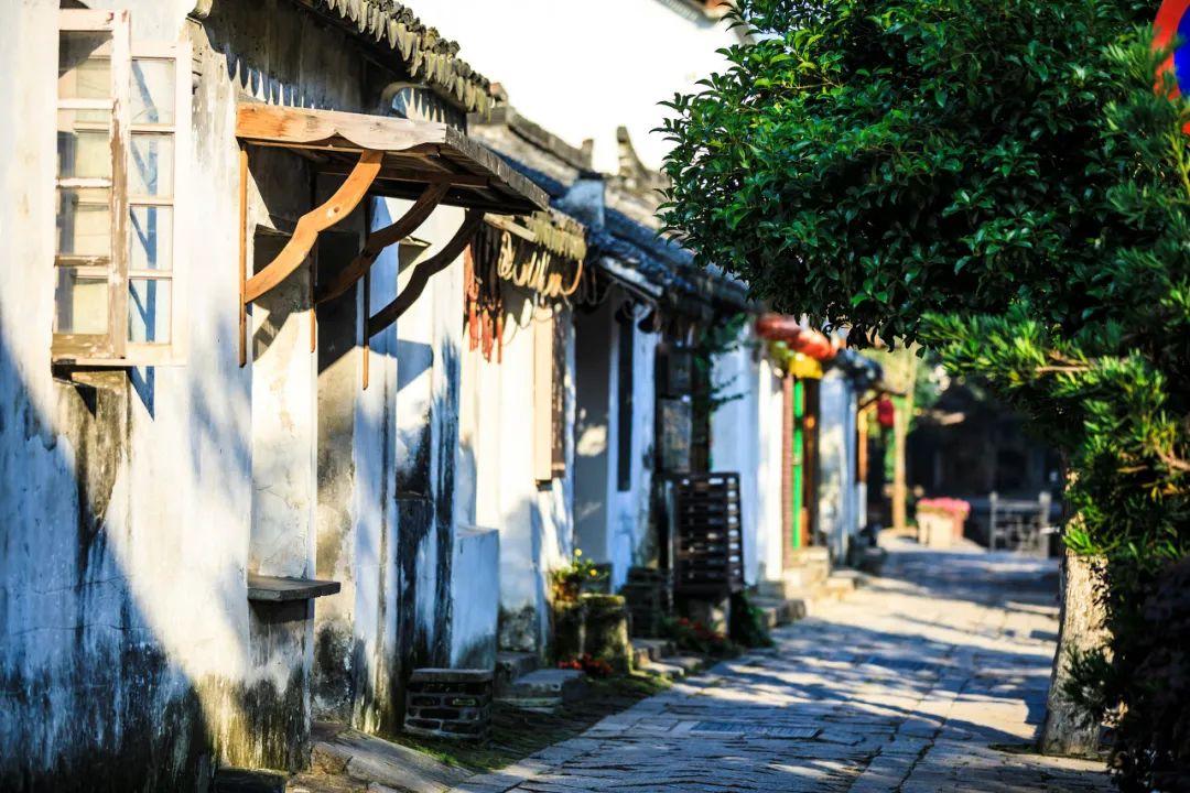 探索吉鹿力问答社区,发现更多